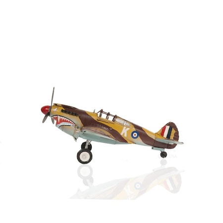 Palacedesigns C1941 Curtiss Hawk 81A Large Sculpture PA3098464